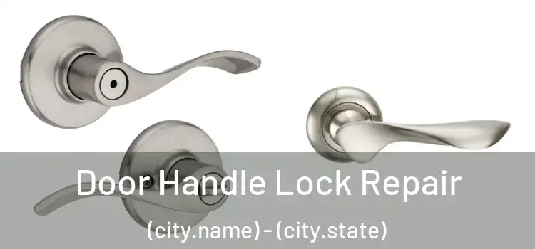 Door Handle Lock Repair (city.name) - (city.state)